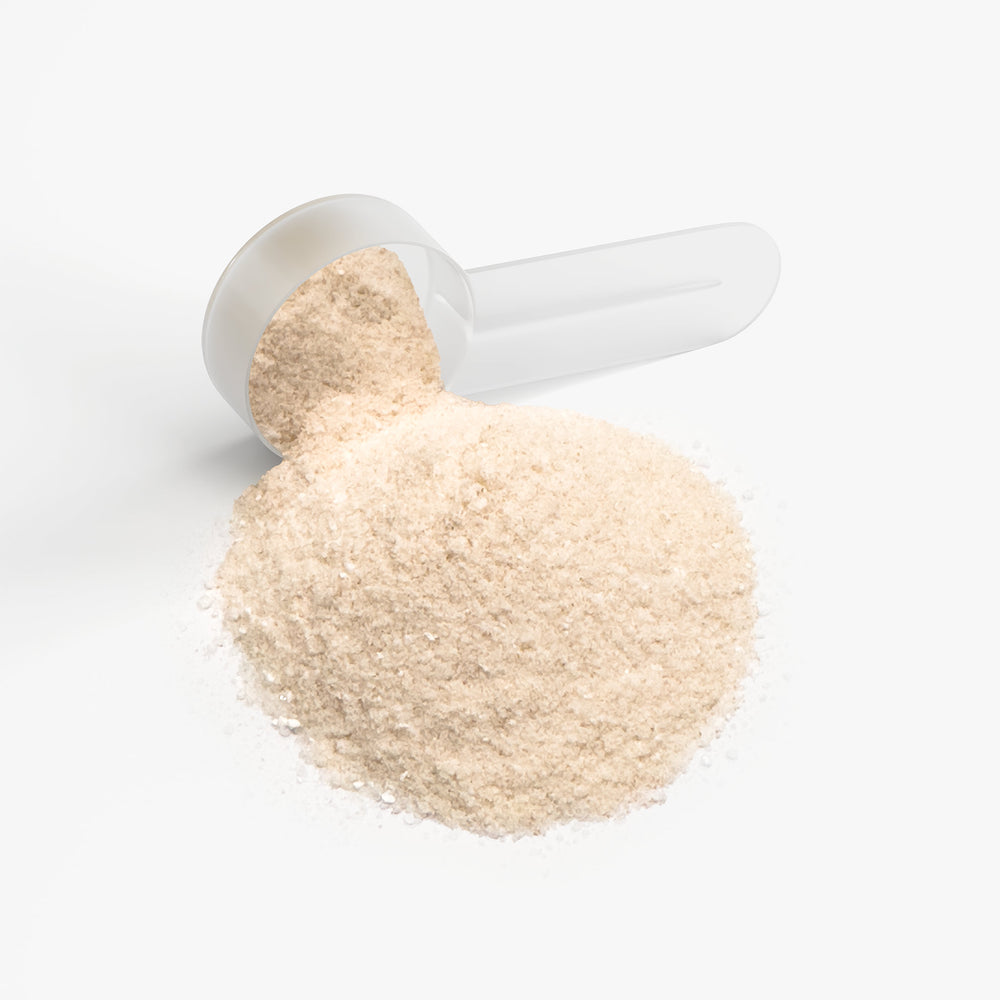 Hydration Powder (Lemonade)