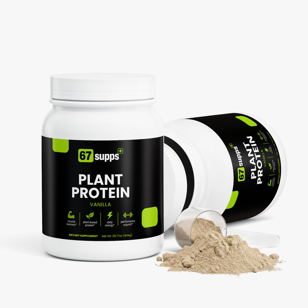 Plant Protein (Vanilla)